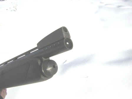 Ghost front sight and barrel porting.JPG (24557 bytes)