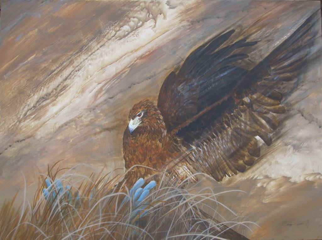 Gold_Eagle_web_large.JPG (64982 bytes)