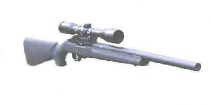 HARPO alone.jpg (19891 bytes)