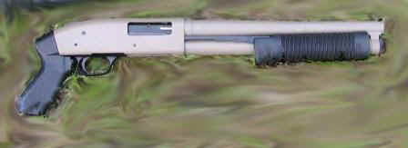 Moss 12 AOW.jpg (17270 bytes)