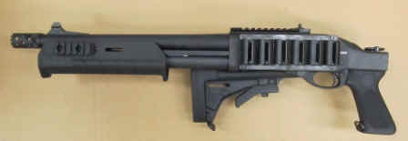 PMtactFL.JPG (27542 bytes)