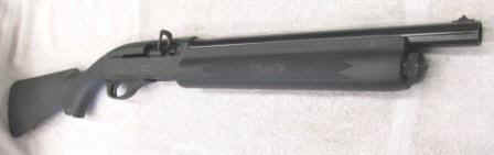 RAIDER.JPG (20007 bytes)