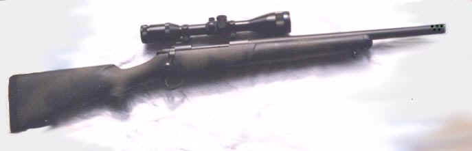 wpe4.jpg (8895 bytes)