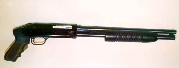 SBS.ht1.jpg (9566 bytes)