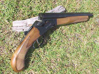 SBSAOW1.jpg (23666 bytes)