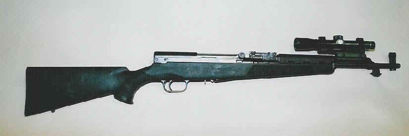 SKS Scout.jpg (20282 bytes)