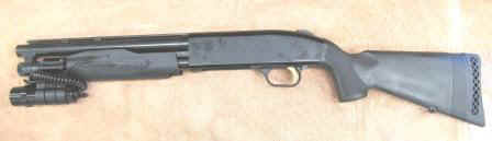 Sentinel with light.jpg (21187 bytes)