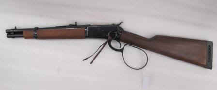 THUNDER BUSH 001.jpg (19360 bytes)