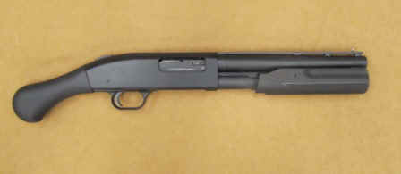 safesideml.JPG (5791 bytes)